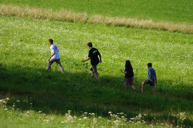 img00036.jpg