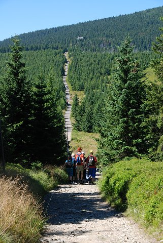 img00049.jpg