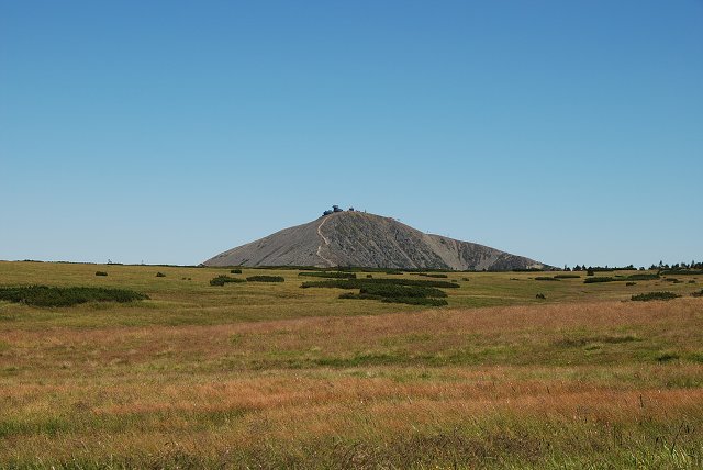 img00080.jpg