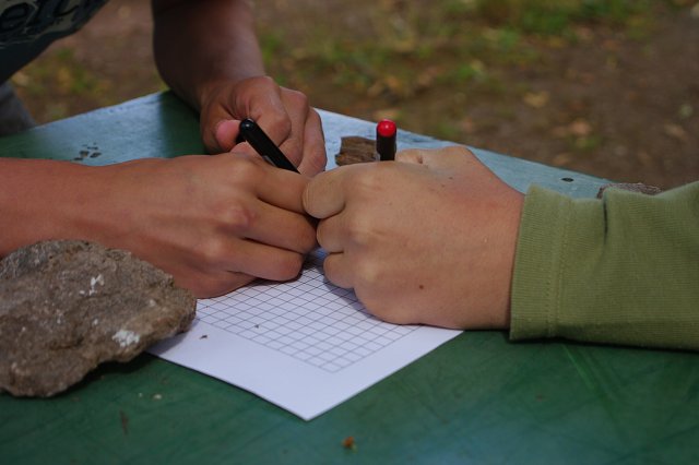 img00095.jpg