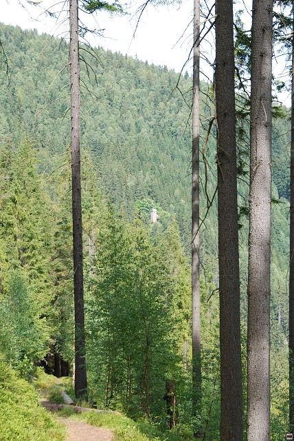 img00082.jpg