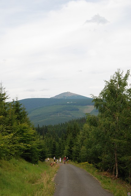 img00088.jpg