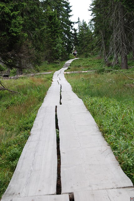 img00093.jpg