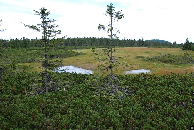 img00096.jpg