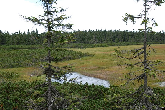 img00097.jpg
