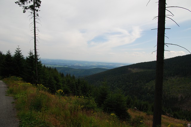 img00100.jpg