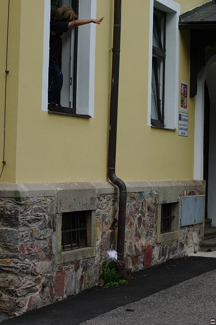 2009-08-12_15-07-42_Yarda.imgp6892.jpg