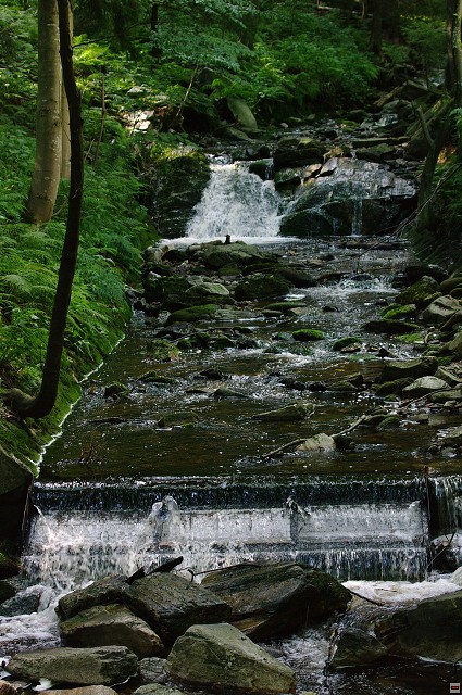 2009-08-14_15-24-59_Yarda.imgp6974.jpg